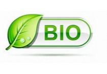 Bio gazdálkodásban használható permetszerek, bio kiskertek
